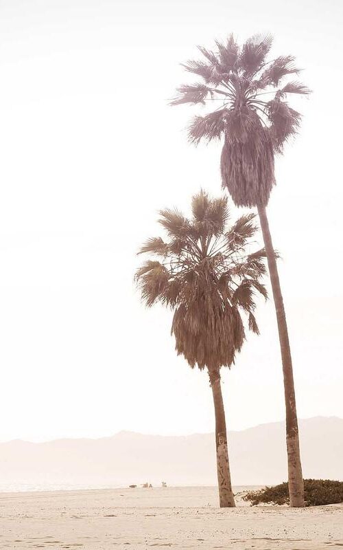 Picsum ID: 108